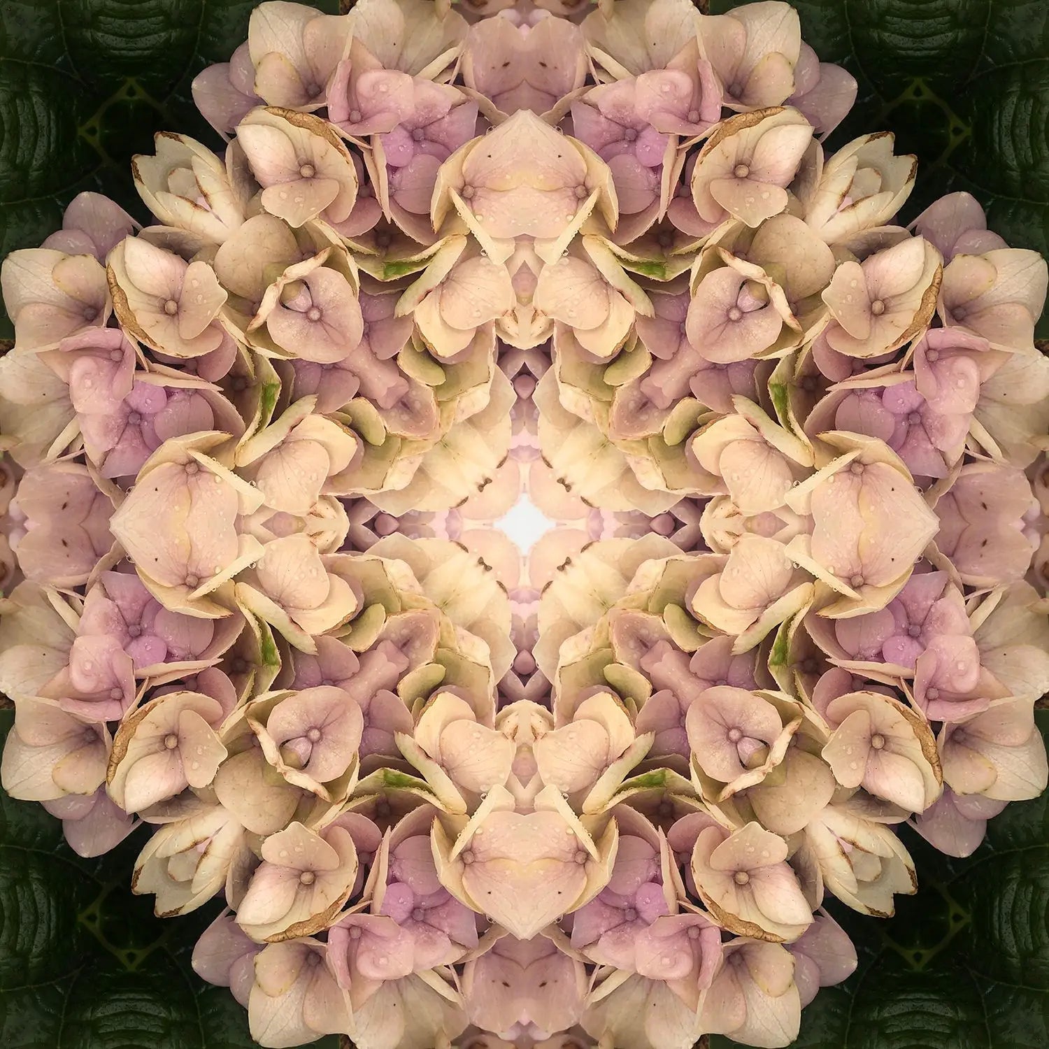 Appreciation Mandala 02 by Jo Holland - JG Contemporary Jo Holland Print