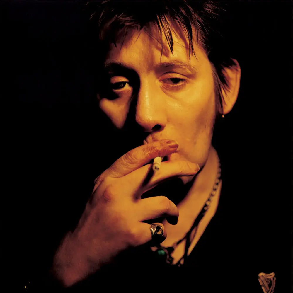 Derrick Santini - Shane MacGowan by Derrick Santini - JG Contemporary
