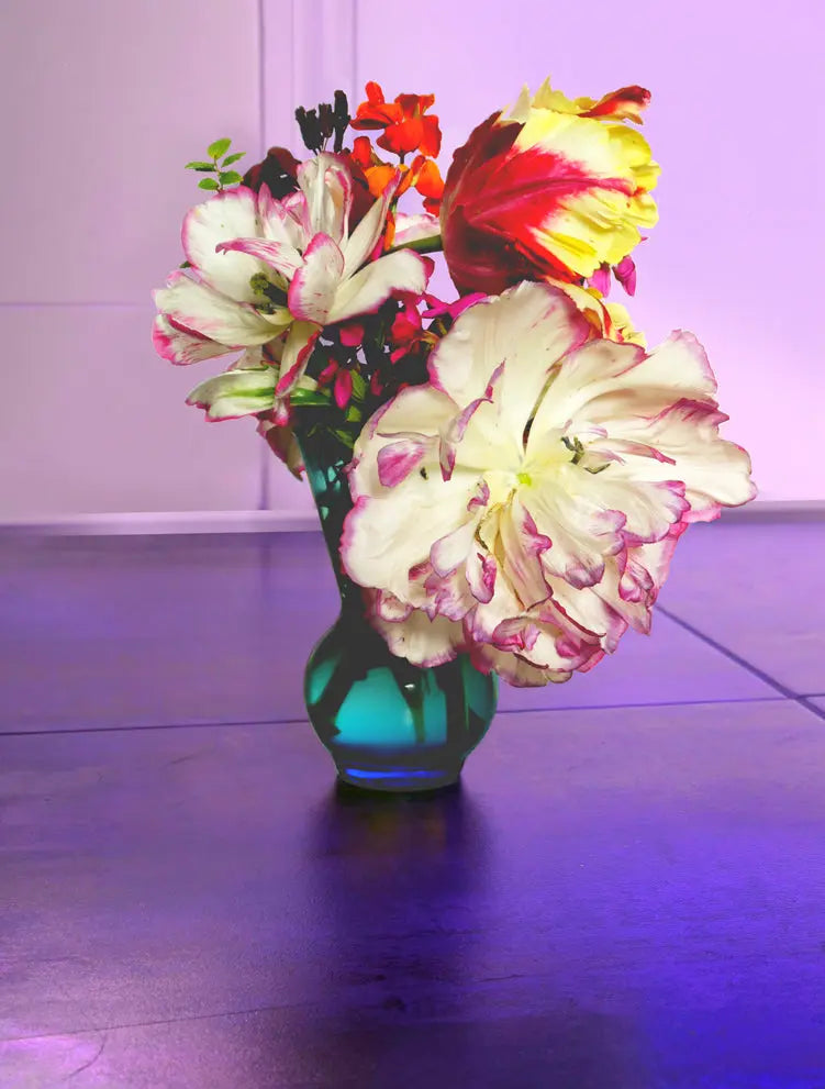 Barbara Mullarney-Wright