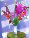 Midday Gladiolus - JG Contemporary  Barbara Mullarney Wright Original Art