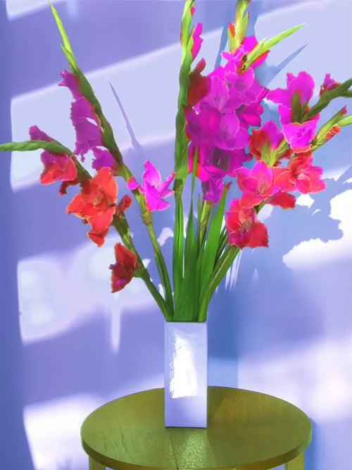 Midday Gladiolus - JG Contemporary  Barbara Mullarney Wright Original Art