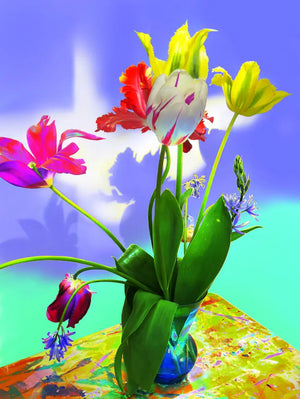 Shadow Time Tulips