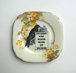 Descriptive image text