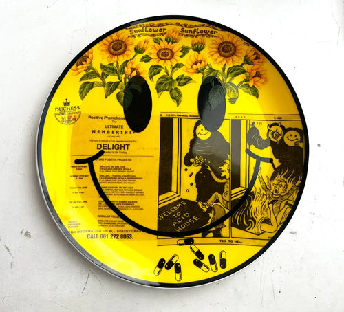 Welcome to Acid House - JG Contemporary  Carrie Reichardt Artwork