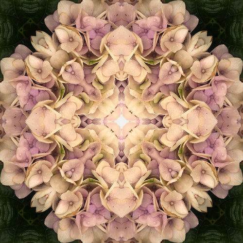 Appreciation Mandala 02 by Jo Holland - JG Contemporary  Jo Holland Print